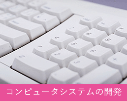 コンピュータシステムの開発